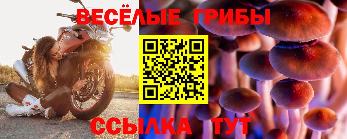 Галлюциногенные грибы мухоморы Городец